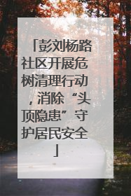 彭刘杨路社区开展危树清理行动，消除“头顶隐患”守护居民安全