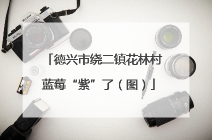德兴市绕二镇花林村蓝莓“紫”了（图）