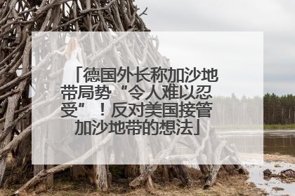德国外长称加沙地带局势“令人难以忍受”！反对美国接管加沙地带的想法