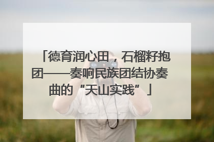 德育润心田，石榴籽抱团——奏响民族团结协奏曲的“天山实践”