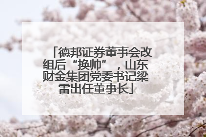 德邦证券董事会改组后“换帅”，山东财金集团党委书记梁雷出任董事长