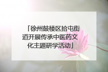 徐州鼓楼区拾屯街道开展传承中医药文化主题研学活动