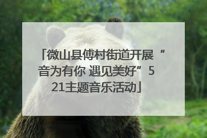 微山县傅村街道开展“音为有你 遇见美好”521主题音乐活动