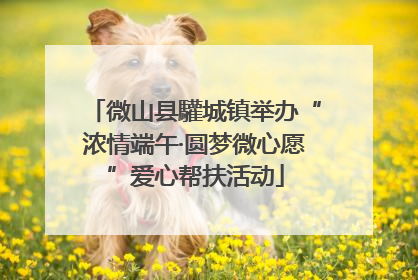 微山县驩城镇举办“浓情端午·圆梦微心愿”爱心帮扶活动