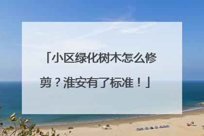 小区绿化树木怎么修剪？淮安有了标准！