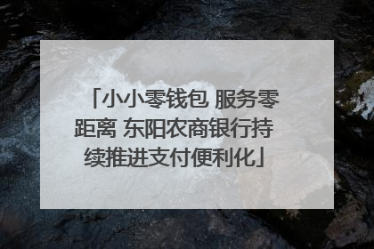 小小零钱包 服务零距离 东阳农商银行持续推进支付便利化