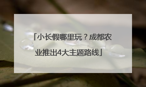 小长假哪里玩？成都农业推出4大主题路线
