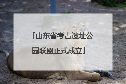 山东省考古遗址公园联盟正式成立