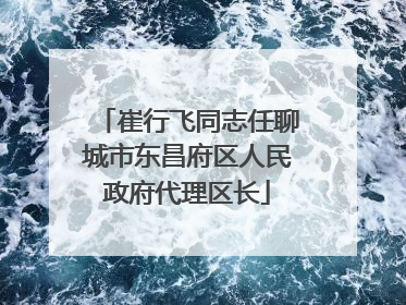 崔行飞同志任聊城市东昌府区人民政府代理区长