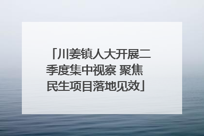 川姜镇人大开展二季度集中视察 聚焦民生项目落地见效