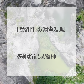 巢湖生态调查发现多种新记录物种
