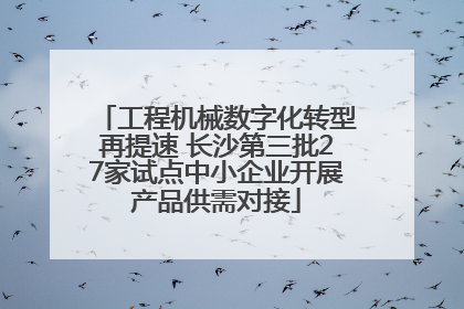 工程机械数字化转型再提速 长沙第三批27家试点中小企业开展产品供需对接