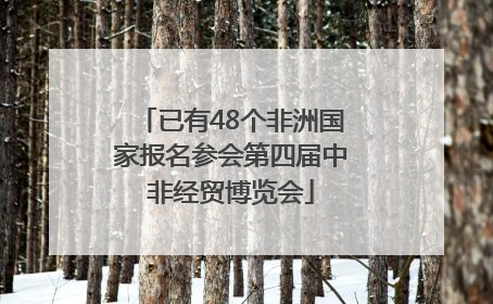 已有48个非洲国家报名参会第四届中非经贸博览会
