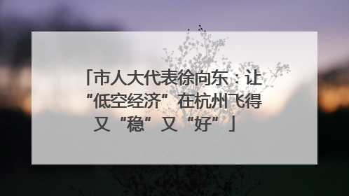 市人大代表徐向东：让“低空经济”在杭州飞得又“稳”又“好”