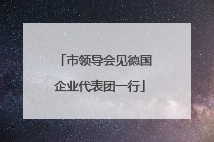 市领导会见德国企业代表团一行