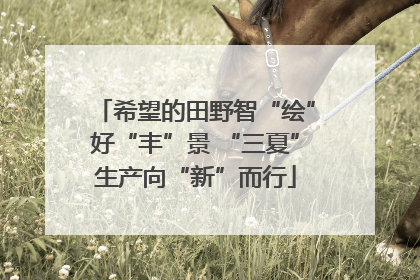 希望的田野智“绘”好“丰”景 “三夏”生产向“新”而行