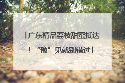 广东精品荔枝甜蜜抵达！“豫”见就别错过