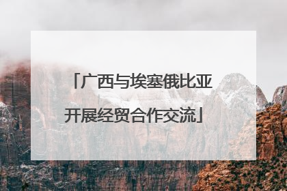 广西与埃塞俄比亚开展经贸合作交流