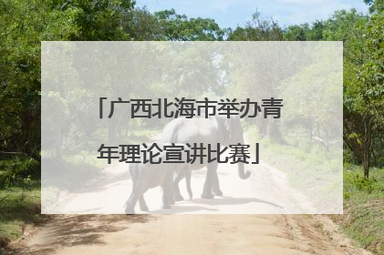 广西北海市举办青年理论宣讲比赛
