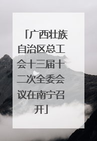 广西壮族自治区总工会十三届十二次全委会议在南宁召开
