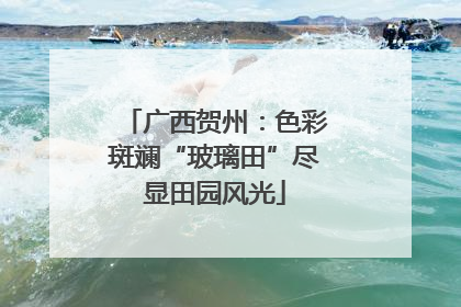 广西贺州：色彩斑斓“玻璃田”尽显田园风光