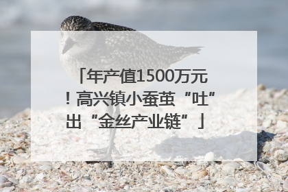 年产值1500万元！高兴镇小蚕茧“吐”出“金丝产业链”