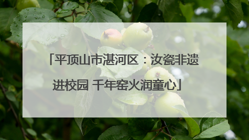 平顶山市湛河区：汝瓷非遗进校园 千年窑火润童心