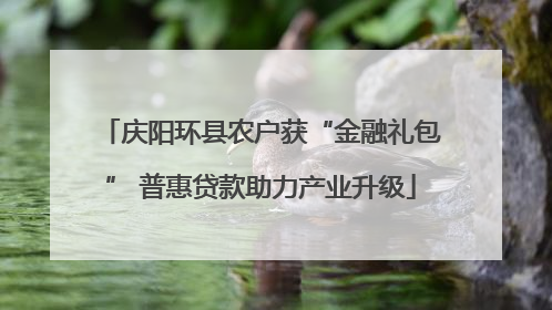 庆阳环县农户获“金融礼包” 普惠贷款助力产业升级