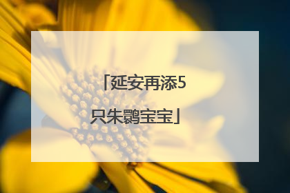 延安再添5只朱鹮宝宝