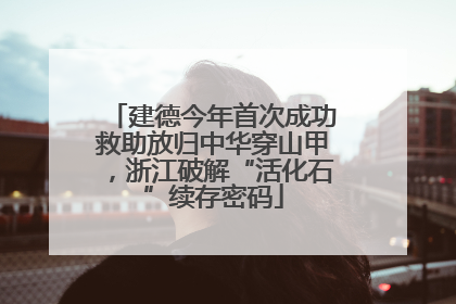 建德今年首次成功救助放归中华穿山甲，浙江破解“活化石”续存密码