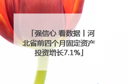 强信心 看数据丨河北省前四个月固定资产投资增长7.1%