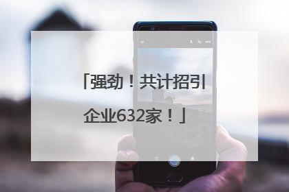 强劲！共计招引企业632家！