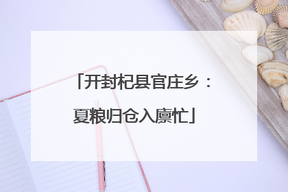 开封杞县官庄乡：夏粮归仓入廪忙