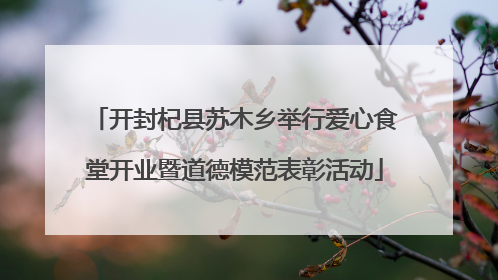 开封杞县苏木乡举行爱心食堂开业暨道德模范表彰活动