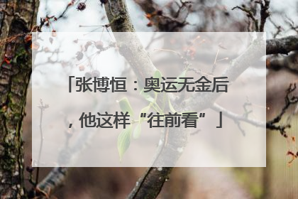 张博恒：奥运无金后，他这样“往前看”