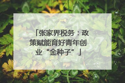 张家界税务：政策赋能育好青年创业“金种子”