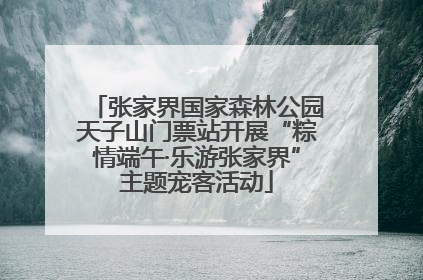 张家界国家森林公园天子山门票站开展“粽情端午·乐游张家界”主题宠客活动