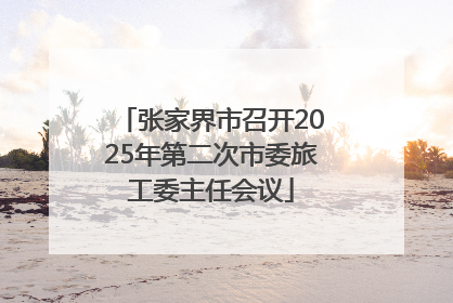 张家界市召开2025年第二次市委旅工委主任会议