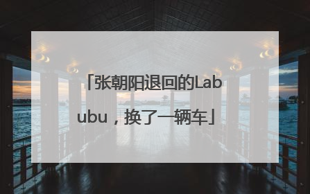 张朝阳退回的Labubu，换了一辆车