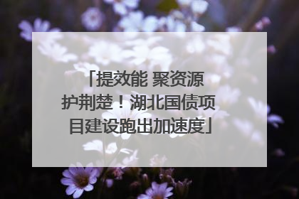 提效能 聚资源 护荆楚！湖北国债项目建设跑出加速度