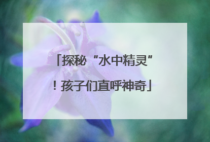 探秘“水中精灵”！孩子们直呼神奇