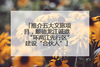 推介五大文旅项目，顺德龙江诚邀“环两江先行区”建设“合伙人”