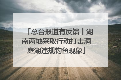 总台报道有反馈丨湖南两地采取行动打击洞庭湖违规钓鱼现象
