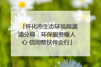 怀化市生态环境局溆浦分局：环保服务暖人心 信用帮扶伴企行