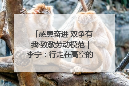 感恩奋进 双争有我·致敬劳动模范｜李宁：行走在高空的“电网卫士”