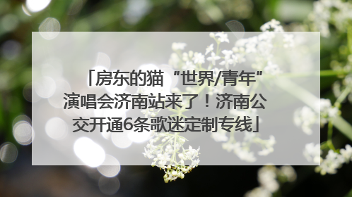 房东的猫“世界/青年”演唱会济南站来了！济南公交开通6条歌迷定制专线