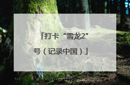 打卡“雪龙2”号（记录中国）