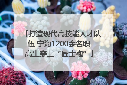 打造现代高技能人才队伍 宁海1200余名职高生穿上“匠士袍”