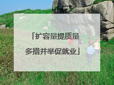 扩容量提质量 多措并举促就业