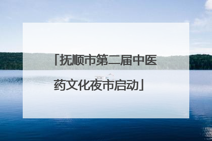 抚顺市第二届中医药文化夜市启动